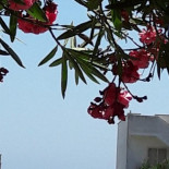 Narada Otranto Esterno