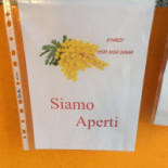 Buona Pizza menu