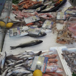 Pescheria Il Delfino Flipper