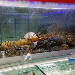 Pescheria Il Delfino Flipper Boisson