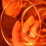 Degusto Wine And Coffee Boisson