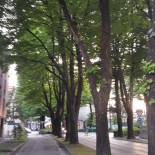 Postumia Design Outside