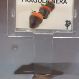 Gelateria Fragola Nera Boisson