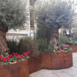 Befed Brew Pub Oderzo outside