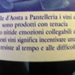 Vincaffé Di Galanelli Stefano C. Carta
