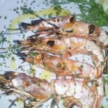 Chiazza Cuverta Nourriture