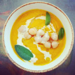 Gingergi Nourriture