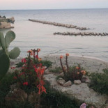 Laffaccio Exterior
