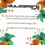 Dulcamara Cafe Logo