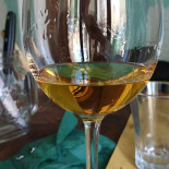 Cicala Boisson