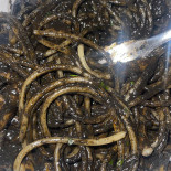 Trattoria No Zu Totó E Niputi Getränk