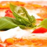 Stuzzico Nourriture