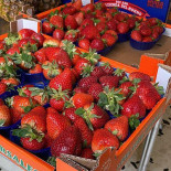 Palermo Gnv Nourriture