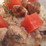 Eremiti Nourriture