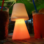 Jamaica Boisson