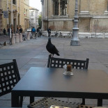 Panificio 10 Steccata Extérieur