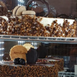 Gioelia Cremeria, Parma Est food