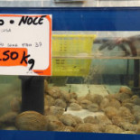 Nautilus Seafood Carte