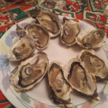 Nautilus Seafood Nourriture