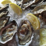 Nautilus Seafood Nourriture