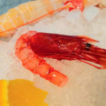 Nautilus Seafood Nourriture