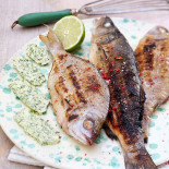 Fortuna Albicocca Comida