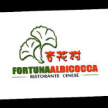 Fortuna Albicocca Logo