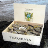 Operaviva Carta