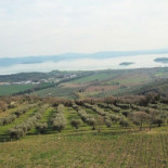 Di Colle In Colle