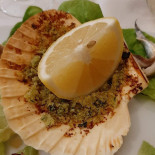 Commercio food