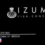 Izumi Logo