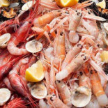 Don Antonio Nourriture