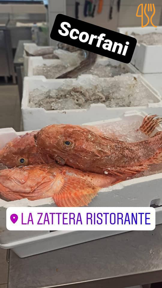 La Zattera Carte