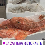 La Zattera Carte
