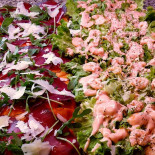 Te La Diamo Calda Comida