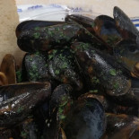 Porto Di Mare Friggitoria drink