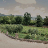 Tenuta Marchesi Fezia outside