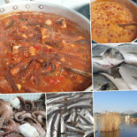 Caronte Comida