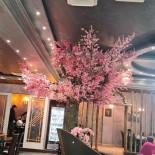 Kikyo Sushi À l'intérieur