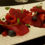 Ardengo Cibo