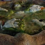 La Nuova Lega Navale Pizzeria Sul Mare A Piombino Comida