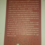 Kaldi's Kaffè Carte