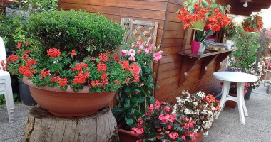 Pizzeria Da Gimo outside