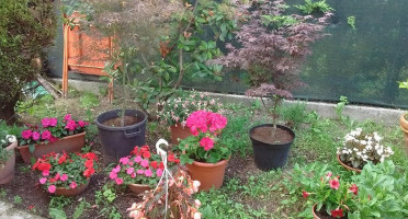 Pizzeria Da Gimo outside