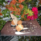 Pizzalo' Arcofelice Nourriture