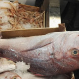 Casa Del Pesce Di Di Falco Francesco E C. Comida