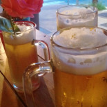 Tipo Pub Bebida