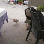 La Locanda Del Postino Extérieur