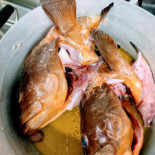 La Lanterna Da Silverio Comida