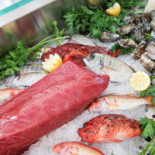 Dettagli Di Mare Nourriture